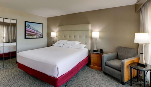 Deluxe Room, 1 King Bed, Refrigerator & Microwave (Terrace)