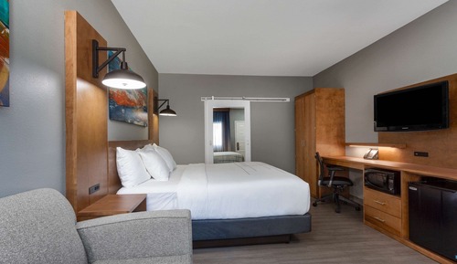 Room, 1 King Bed, Non Smoking