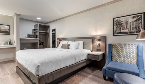 Standard Room, 1 King Bed, Accessible, Refrigerator & Microwave