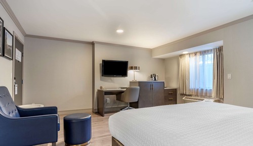 Standard Room, 1 King Bed, Non Smoking, Refrigerator & Microwave