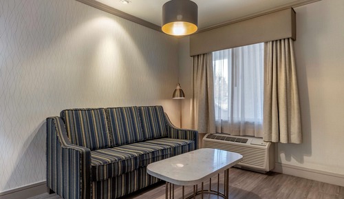 Standard Room, 1 King Bed, Non Smoking, Refrigerator & Microwave (with Sofabed)