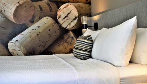 Suite, 1 King Bed
