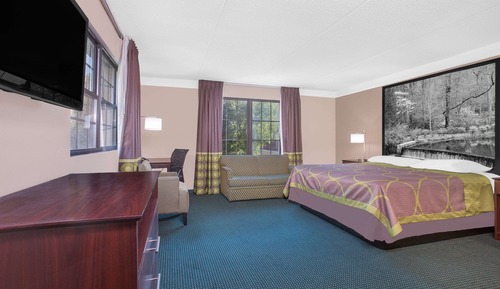 Studio Suite, 1 King Bed, Smoking
