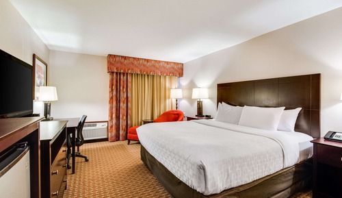 Executive Room, 1 King Bed, Non Smoking