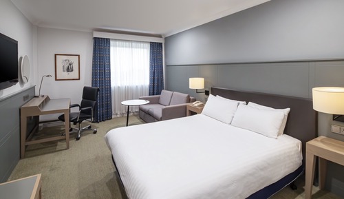 Standard Room, 1 Queen Bed, View