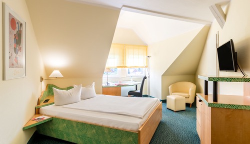 Superior Single Room