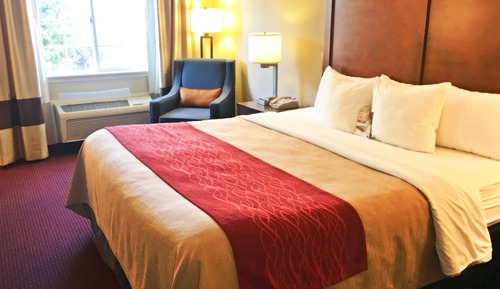 Standard Room, 1 King Bed, Non Smoking