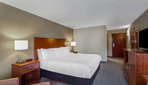 Room, 1 King Bed, Non Smoking
