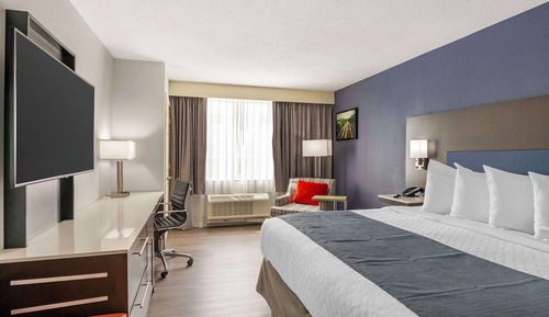 Standard Room, 1 King Bed, Non Smoking, Refrigerator & Microwave