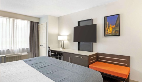 Executive Room, 1 King Bed, Non Smoking, Refrigerator & Microwave (with Sofabed)