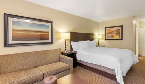 Standard Room, 1 King Bed, Non Smoking, Refrigerator (with Sofabed)