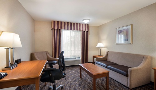 Business Suite, 1 King Bed, Non Smoking, Refrigerator & Microwave