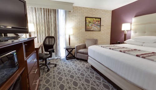 Deluxe Room, 1 King Bed, Accessible, Refrigerator & Microwave (Roll in Shower)