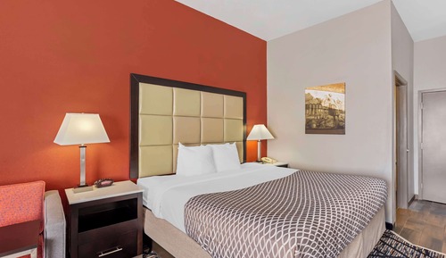 Standard Room, 1 Queen Bed, Non Smoking, Kitchen (Full Kitchen)