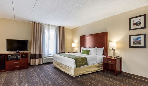 Standard Room, 1 King Bed, Non Smoking