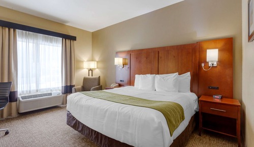 Room, 1 King Bed, Accessible, Non Smoking