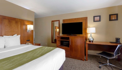 Room, 1 Queen Bed, Non Smoking