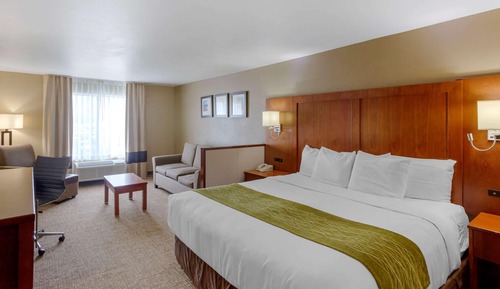 Suite, 1 King Bed with Sofa bed, Non Smoking (Upgrade)