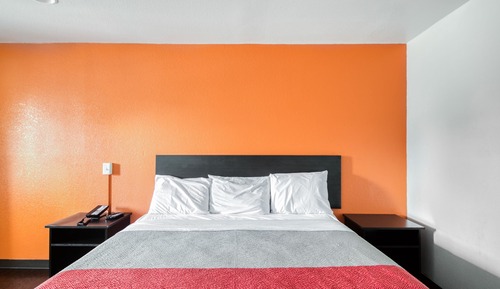 Room, 1 King Bed