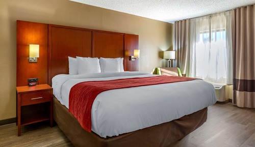 Standard Room, 1 King Bed, Non Smoking