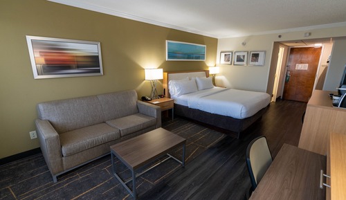 Standard Room, 1 King Bed, Accessible (Roll-In Shower)