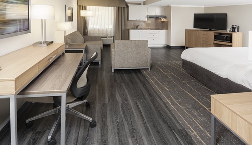 Suite, 1 King Bed