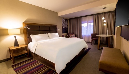 Executive Room, 1 King Bed