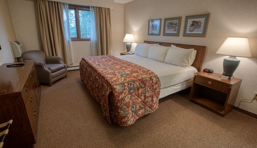 Deluxe One Bedroom King Suite