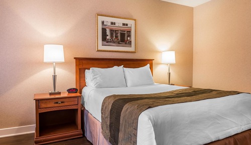 Standard Room, 1 King Bed, Non Smoking