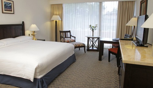 Executive Room, 1 King Bed