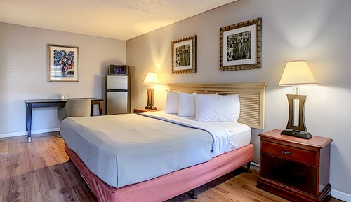 Room, 1 King Bed with Sofa bed
