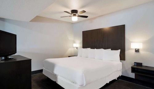 Suite, 1 King Bed, Non Smoking (Efficiency)