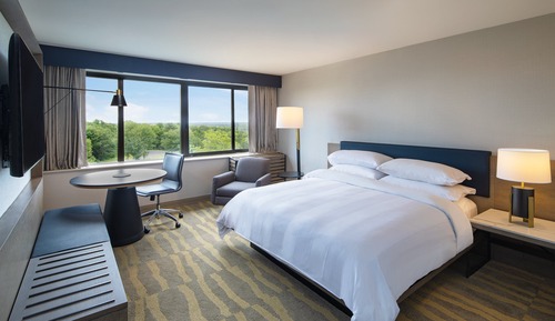 Room, 1 King Bed (Hearing Accessible)