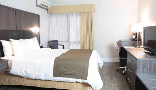 Standard Room, 1 Queen Bed, Non Smoking, Refrigerator (Shower only)