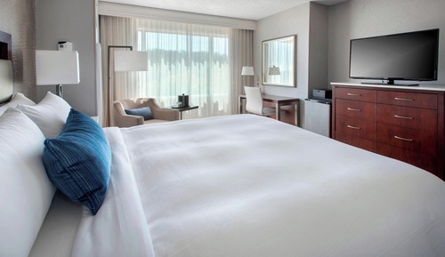 Room, 1 King Bed (Mobility Accessible, Tub)