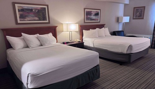 Business Room, 2 Double Beds, Non Smoking