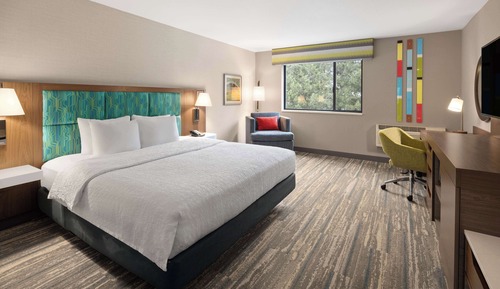 Room, 1 King Bed, Accessible (Roll-In Shower)