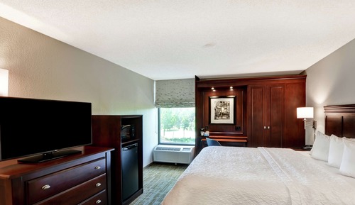 Room, 1 Queen Bed, Accessible, Non Smoking (Roll-In Shower)