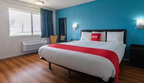Room, 1 King Bed