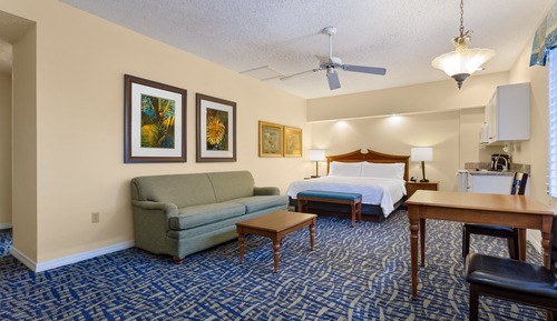 Premium Room, 1 King Bed with Sofa bed