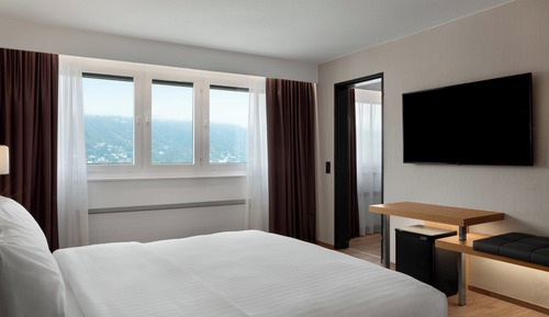 Suite, 1 Bedroom, Non Smoking, Mountain View