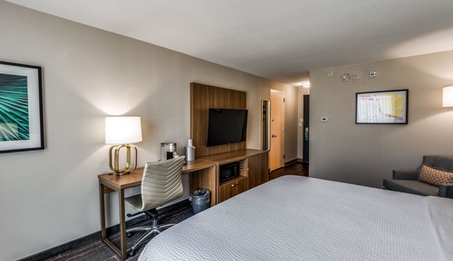 Standard Room, 1 King Bed, Mobility Accessible, Non Smoking (Communications, Mobility)