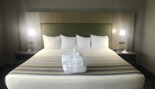 Room, 1 King Bed, Non Smoking