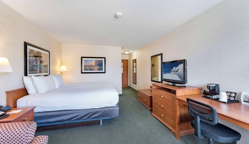 Standard Room, 1 King Bed, Non Smoking (with Sofabed)