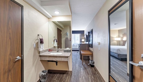 Standard Room, 1 King Bed, Accessible, Refrigerator & Microwave