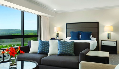 Suite, 1 King Bed (Hyatt)