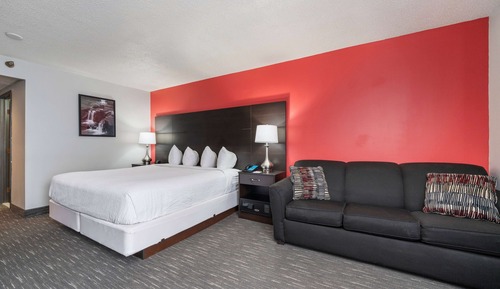 Room, 1 King Bed, Non Smoking