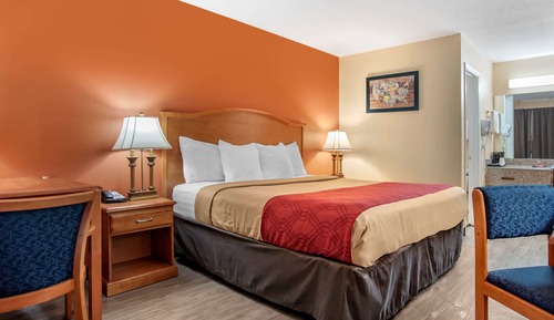 Standard Room, 1 King Bed, Non Smoking