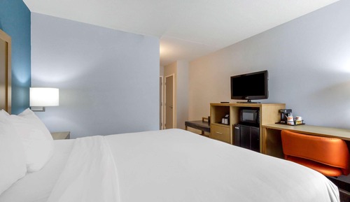 Room, 1 King Bed, Non Smoking (Pet Friendly)