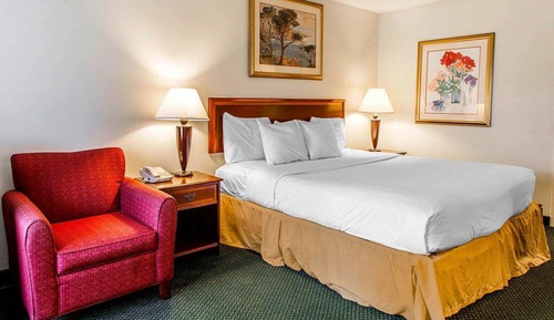 Standard Room, 1 King Bed, Non Smoking